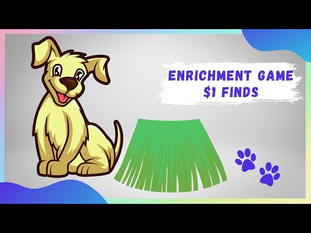 7 Categories of Dog Enrichment Ideas: Brain Games for your Dog - Wear Wag  Repeat