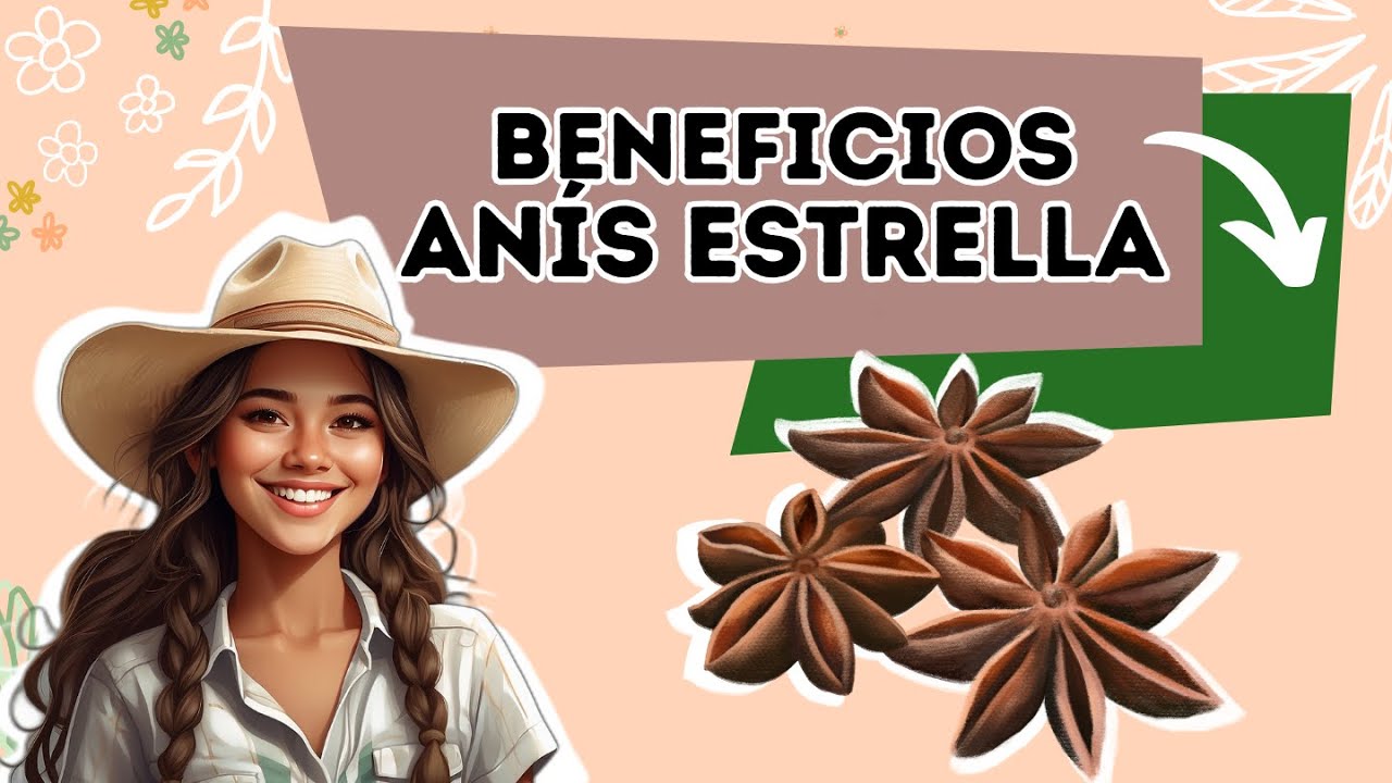 ANÍS ESTRELLADO: Conoce sus 10 Sorprendentes PROPIEDADES - YouTube