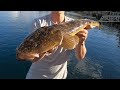 Throwing Big Plastics For Big Fish | Back 2 Back Beauts