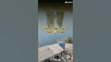 #اكسبلور #ارح_قلبك #قرآن #قران_كريم #لايك #سوره الفتح