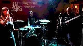 The Owls - Magnitude