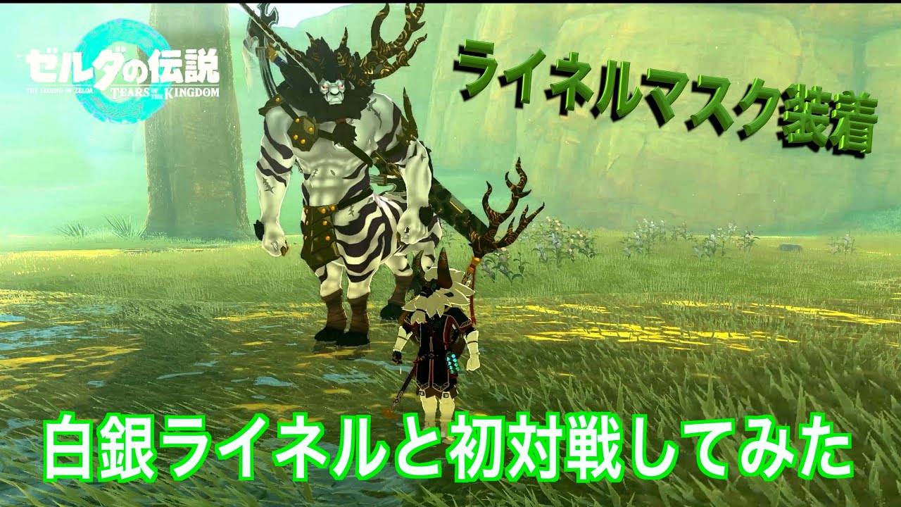初対戦!!白銀ライネル3体とライネルマスクつけて挑戦してみたよ〜｜[ティアキン実況]