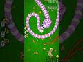 Worms Zoneio Snake Slither amp Wormate Slow Motion Worms Zoneio Snake Slither amp Wormate Slow Motion
