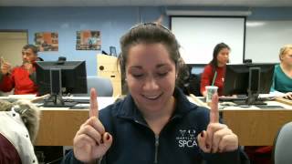 ASL 1 Literature Assignment 1: Friends Feb 21, 2013 6:05 PM