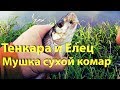 Ловля ельца на tenkara. Мушка сухой комарик. Поиск рыбы и отличные поклевки!