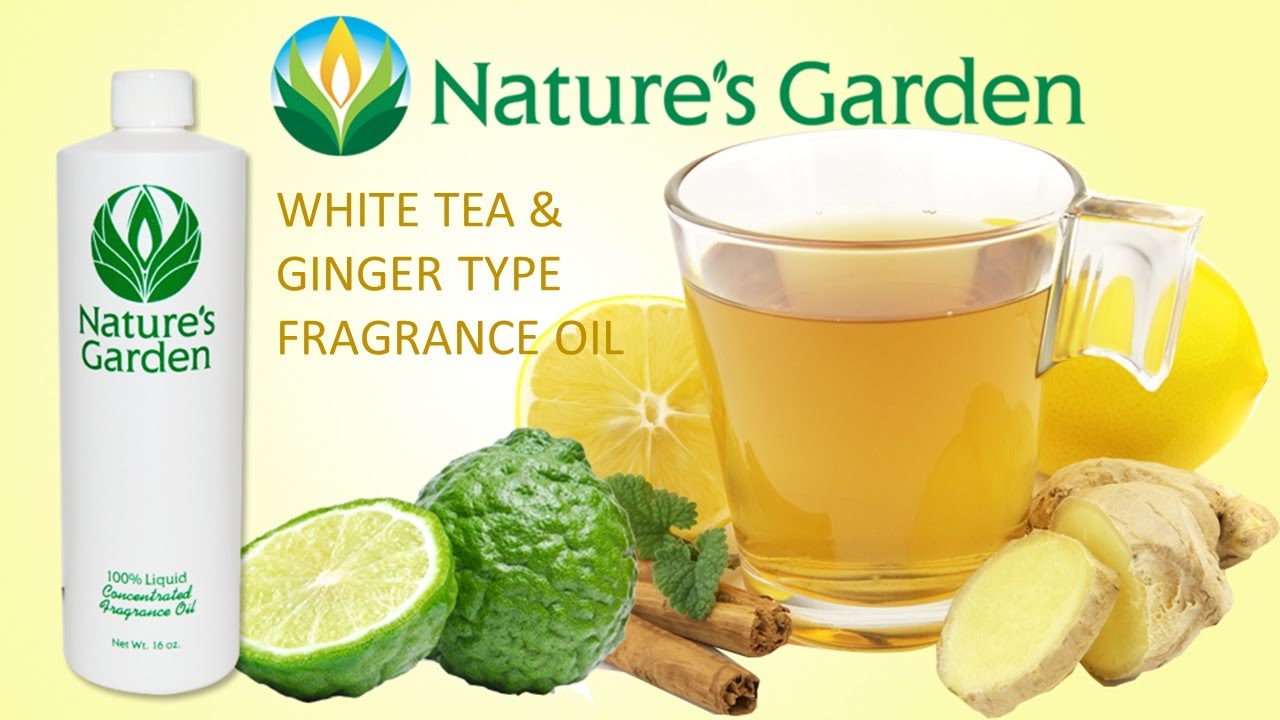 White Tea and Ginger Type Fragrance Oil Natures Garden YouTube