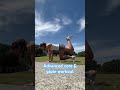 Keep stable & knees above ground #coreworkout #gluteworkout