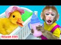 Bayi monyet hewan merawat anak itik sepenuh hati  kartun monyet lucu  hewan kiki channel