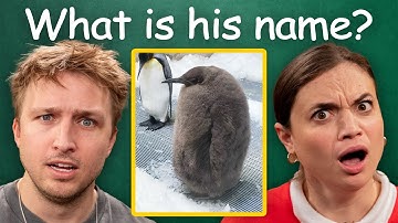 How Well Do We Remember 2024?