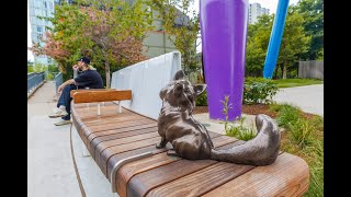 Butterfield Park Renovation – Interview with David Salazar | OCAD University