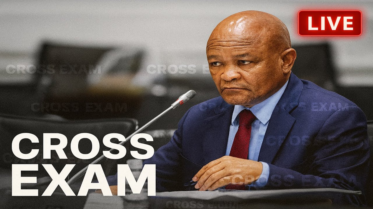 Senzo Mchunu EXPOSED at Madlanga Commission Hearing