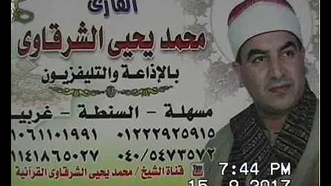 الشيخ محمد يحيى الشرقاوي سورة الزُخرف بلوس الهوى السنطة   15-9-2017