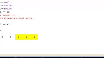 Logical operations with strings and the use of the strcmp function in MATLAB.