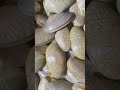 Wow Amazing Cheap Big Thai Clams #wow #amazing #cheap #big #thailand #seafood #shorts #viral #global