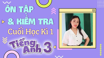Ôn tập Tiếng Anh lớp 3 học kì 1 | Viral English