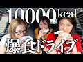 【爆食】10000キロカロリー分食べ切れないと帰れないドライブが過去一でしんどい