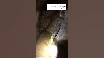 ها واحد داخل بطن الحوت 
