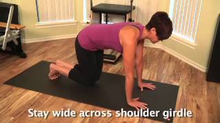 YMP Week 8 Leg Pull Front Prep