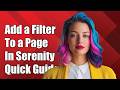 How to add a filter to a page in serenity?