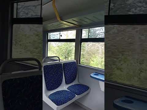 Озеро Андреевское через окна вагонов Тюменской детской железной дороги -ТРЖД.В России таких дорог 29