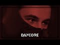 Mario Fresh X Stefan Costea Red Light Daycore Slowed Reverb mp3