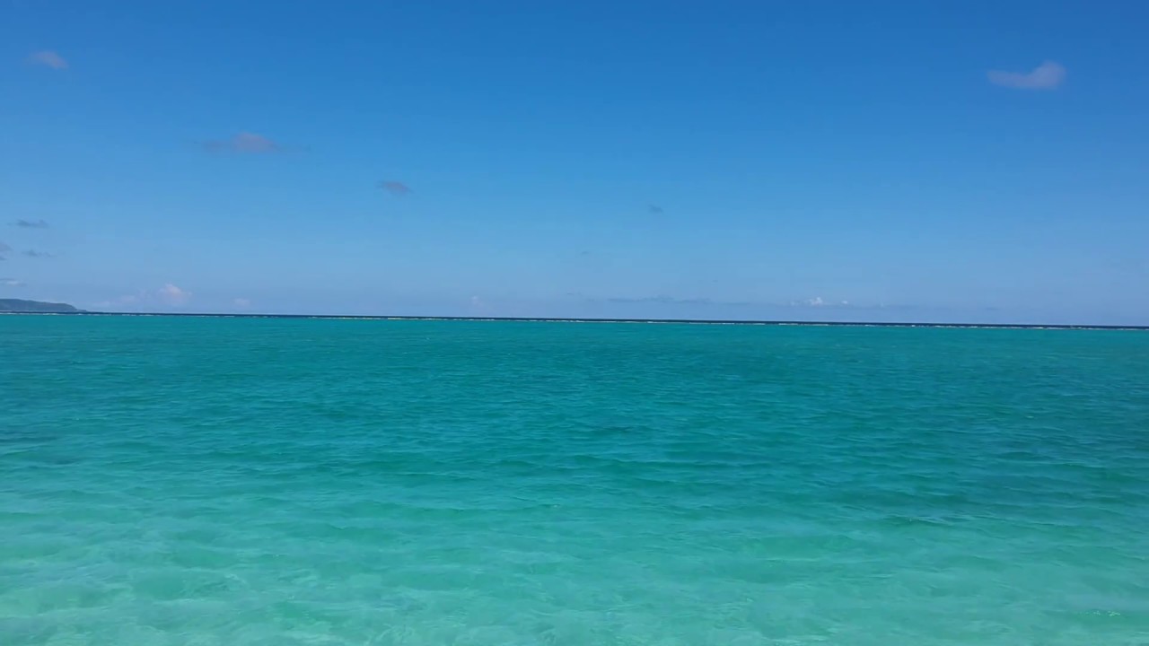 海のなごみ映像 うみぽす