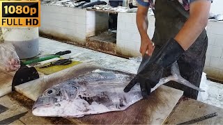 Simple cut of tuna Iranian fish cutting skills