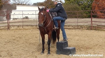 Hotshot Invitation - ULTRA smooth slow jog, comfy lope, easy stops!!! - ValleyViewRanch.net