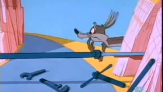 Road Runner & Coyote (Çakalın Aptallıkları)