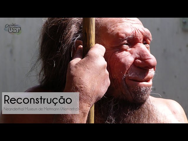 Simulando a respiração do neandertal | NDC 12