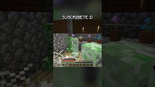 Cosas sin Sentido en Minecraft