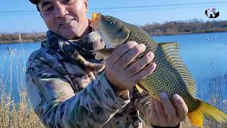 Yanvar Ayi̇ni̇n Sazan Ovu - Tutub Axirdada Pisirib Yedik -2025