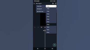 Alight Motion 30fps to 60fps resolution