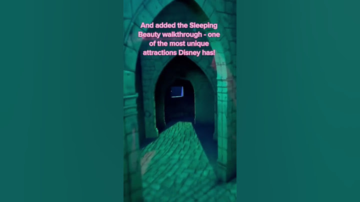 The Secret of Sleeping Beauty Castle | The Infestation Walt Disney Found Inside