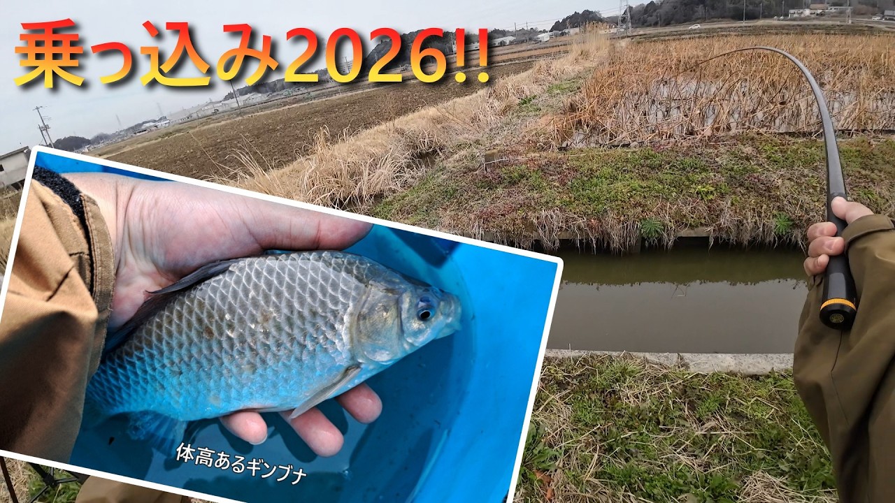 霞ヶ浦乗っ込みマブナ釣り2026