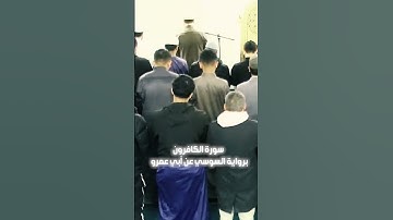 سورة الكافرون برواية السوسي عن أبي عمرو || الشيخ بلال السنهوري