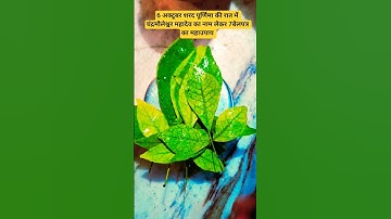 6 अक्टूबर शरद पूर्णिमा की रात में चंद्रमौलेश्वर महादेव का नाम लेकर 7बेलपत्र का महाउपाय #shorts #upay