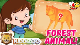 Can you Guess the Forest Animal? A Shadow Game for Kids screenshot 3