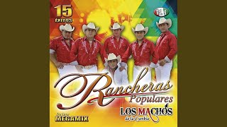 Video thumbnail of "Los Machos de la Cumbia - Esclavo de Tus Besos"