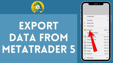 How to Export Data from Metatrader 5 in 2024 | Metatrader 5 Tutorial