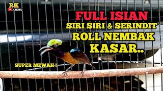 ENTER QUICKLY ❗NINJA hummingbird GACOR FULL FILLING SIRI SIRI, ROLL SHOT RUDE! Jozz for konin master