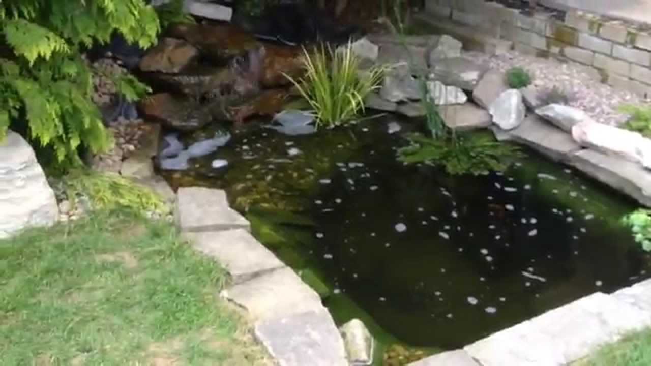 How to build a natural looking garden fish pond with ...