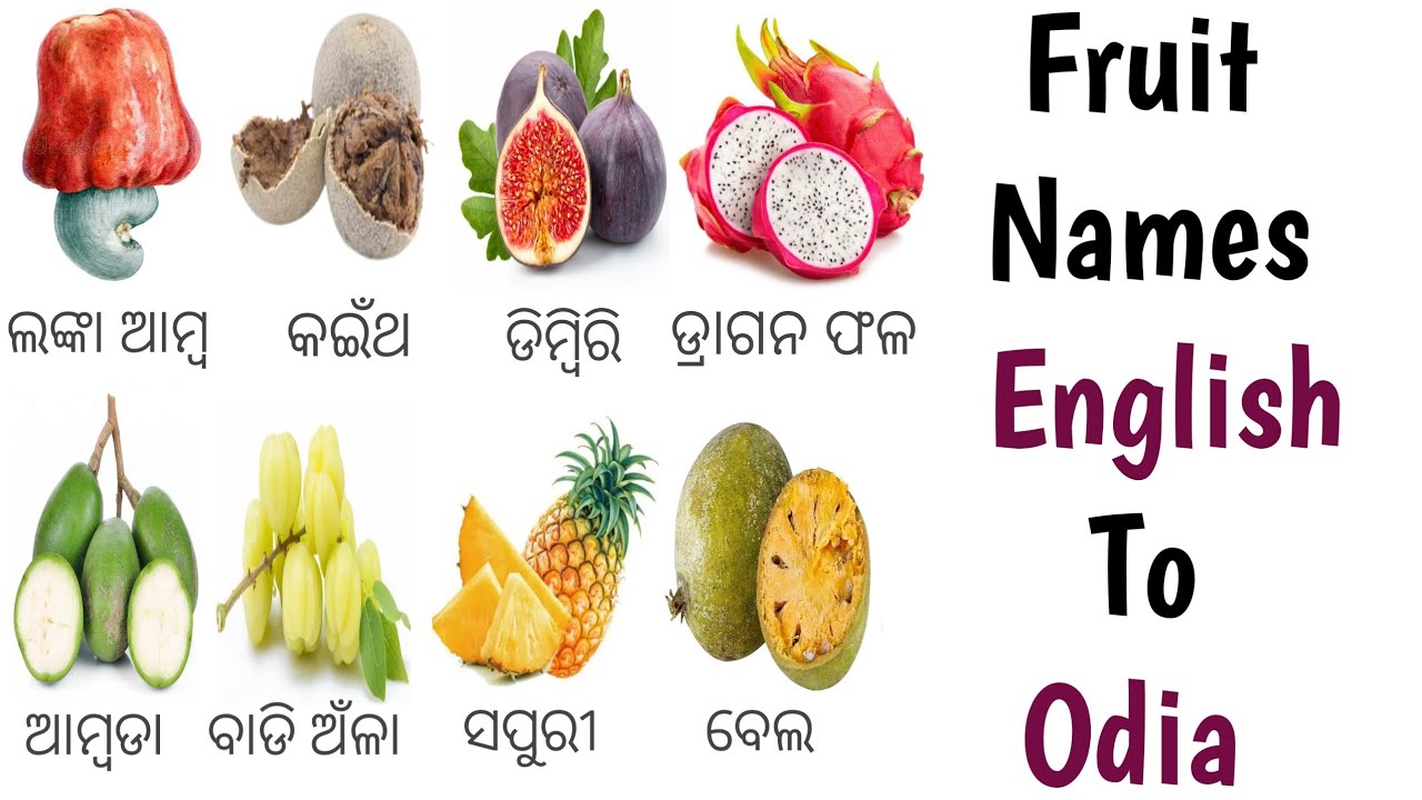 Fruits name english to odia ll English to odia dictionary ll Learn English with Pictures