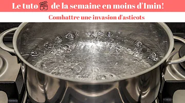 Comment se débarrasser des vers dans les mûres ?