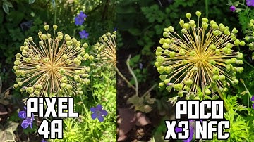 Google Pixel 4a vs Poco X3 NFC-Photos & Video Samples- Comparison Review!