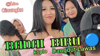 BADAI BIRU🔵 Naek MIDUA CINTA // Bajidor Nico decoration @live cinungku