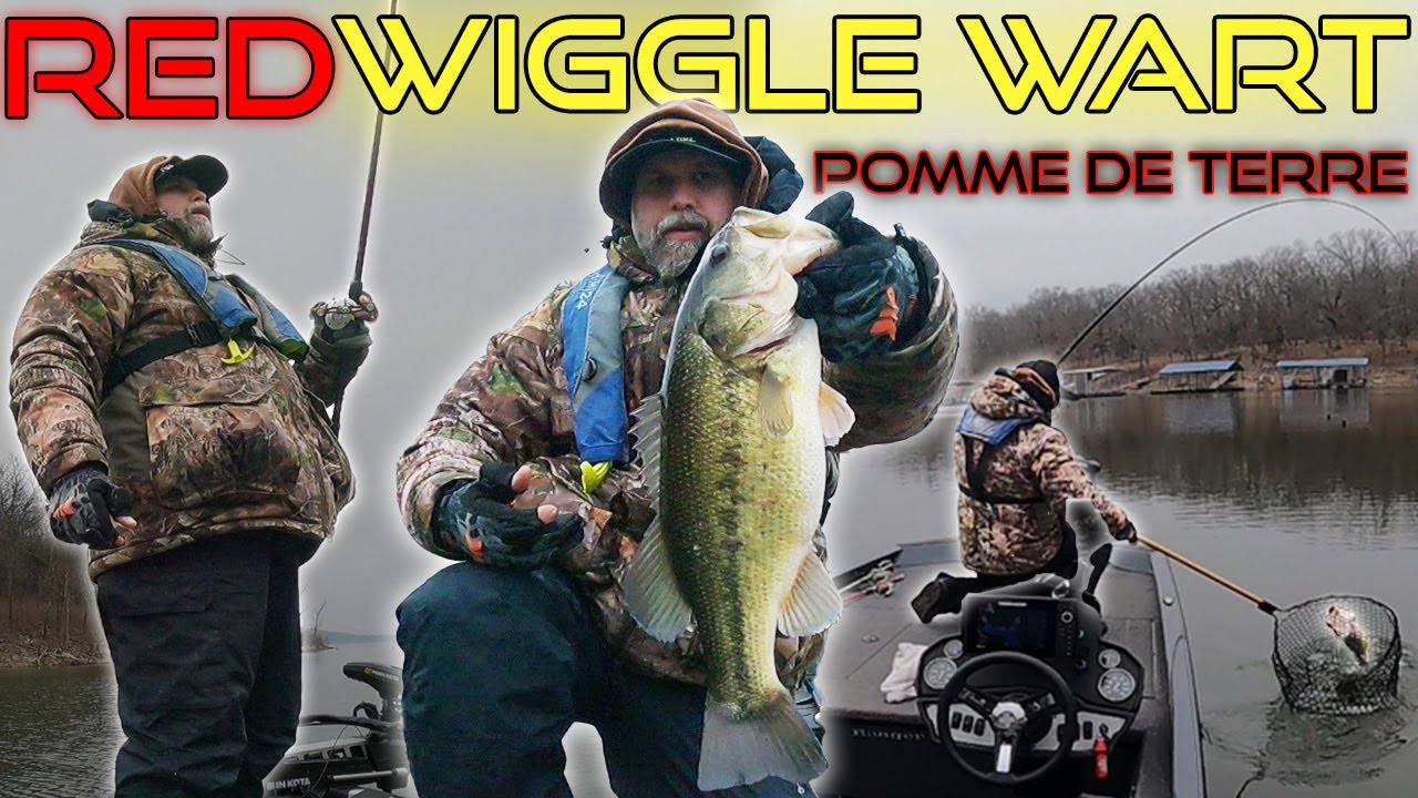 This Wiggle Wart is getting ABSOLUTELY CRUSHED! - Pomme de Terre