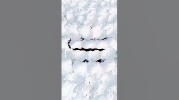 The Merge: Transition Loop #045/152