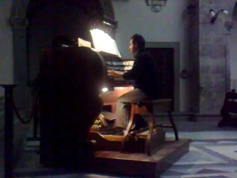 Gregory Organ Photo 6