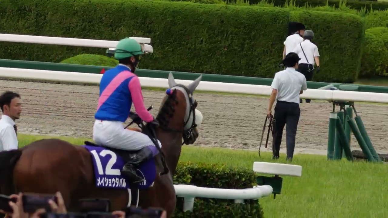 【武豊】メイショウタバル　本馬場入場！場内アナウンス時に大きな声援が沸く！